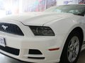 Mustang 野马 2013款图片