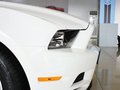 Mustang 野馬 2013款圖片