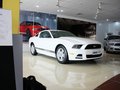 Mustang 野马 2013款图片