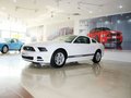 Mustang 野马 2013款图片