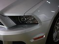 Mustang 野马 2013款图片