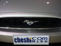 Mustang 野馬 2013款圖片