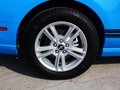 Mustang 野馬 2013款圖片
