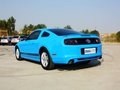 Mustang 野馬 2013款圖片
