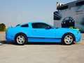 Mustang 野馬 2013款圖片