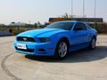 Mustang 野馬 2013款
