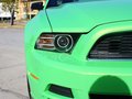 Mustang 野馬 2013款