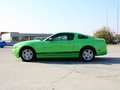 Mustang 野馬 2013款