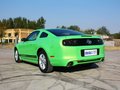 Mustang 野馬 2013款