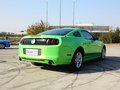 Mustang 野馬 2013款