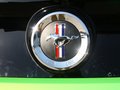 Mustang 野馬 2013款圖片