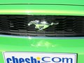 Mustang 野馬 2013款