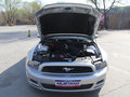 Mustang 2013款 3.7L 自动 标准型图片