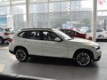 宝马X1 X1 sDrive20i 2.0T 运动设计套装 2013款图片