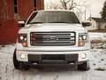 福特F150 2013款 F-150图片
