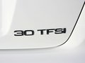 奥迪A3(进口) A3 Sporback 30TFSI 1.4T AT 豪华型 2013款图片