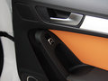 奥迪A5 2013款 A5 Sportback 2.0T DCT 40TFSI quattro图片