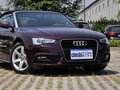 奥迪A5 2.0T Coupe 40TFSI 2013款图片