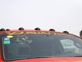 坦途 2012款 改装坦途图片