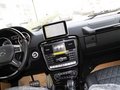 奔驰G级AMG 2013款 奔驰 G65图片
