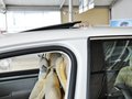昊锐 昊锐 1.4TSI GreenLine2 2013款图片