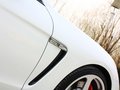 RUF RXL 2013款 RUF如虎 RXL 基本型圖片