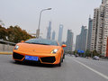 Gallardo 2011款 LP550-2图片