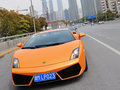 Gallardo 2011款 LP550-2图片