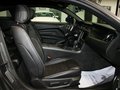 Mustang 野馬GT 5.0 AT V8 2013款圖片