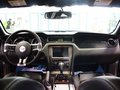 Mustang 野马GT 5.0 AT V8 2013款图片