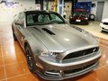 Mustang 野馬GT 5.0 AT V8 2013款圖片