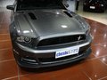 Mustang 野馬GT 5.0 AT V8 2013款圖片