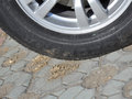 欧蓝德（进口） 2.0L CVT 四驱都市导航版 5座 2013款图片
