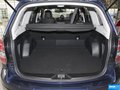 森林人 图片