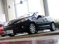 标致207(进口) 2013款 标致207CC 1.6L AT 时尚型图片