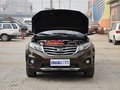 陆风X5 2013款 陆风X5 2.0T MT 两驱创领版 5座图片