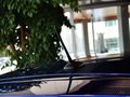 雷克萨斯CT 200h 1.8 CVT 精英版 2013款图片