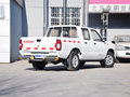 D22皮卡 2.4L 手動(dòng) 兩驅(qū)標(biāo)準(zhǔn)型 2013款圖片