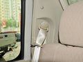 日产ZN厢式车 2.4L 手动 两驱标准型KA24 2013款图片