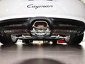 Cayman 2.7L 2013款图片