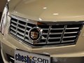 凱迪拉克SRX 2013款 凱迪拉克 SRX 3.0L AT 領先型圖片
