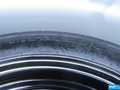 福克斯 图片