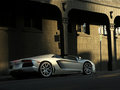 Aventador 2013款 LP 700-4图片