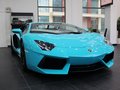 Aventador 2013款 LP 700-4