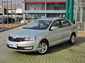 昕锐 2013款 Rapid 1.6L AT 图片