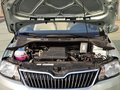 昕锐 2013款 Rapid 1.6L AT 图片