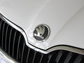 昕锐 2013款 Rapid图片