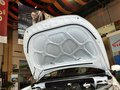 H30 CROSS 风神新H30 CROSS 1.6L MT 尊尚型 2013款图片