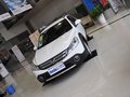 H30 CROSS 风神新H30 CROSS 1.6L MT 尊尚型 2013款图片