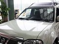 帕拉丁 帕拉丁 2.4 MT 两驱标准型国V 5座 2013款图片